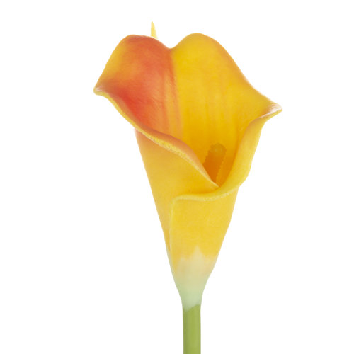 Bay Isle Home Artificial CallaLily Stems & Reviews Wayfair